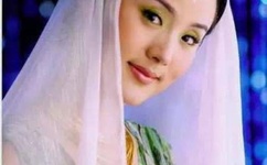 做僾动态过程图片的